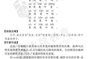 七年级下册《周周清检测》各科！！！！