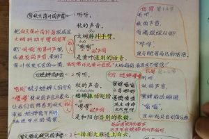 小学语文听听秋的声音~(秋天的声音听听)