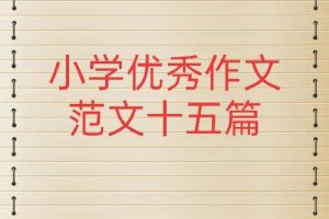 小学语文范文~（小学作文范文大全）