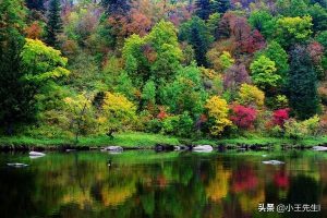 小兴安岭小学课文原文~（自然风光描写）