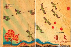 小学语文课文大雁~(放学后看大雁)