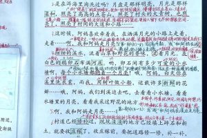 小学语文《走月亮》~（月亮故事小学语文）