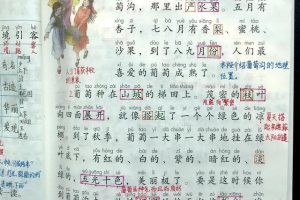 小学语文课文葡萄沟~(小学语文课文葡萄沟主题)