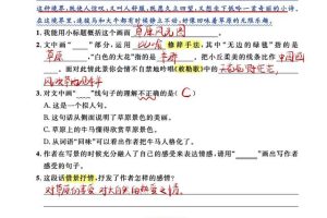 小学六年级上册语文同步~（语文同步练习题）