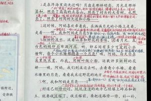 小学语文《走月亮》~（月亮之歌 小学语文）