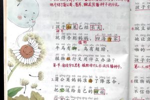 小学语文关于植物的课文~（植物故事阅读）