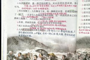 小学语文课文《桥》~(小学课文桥)